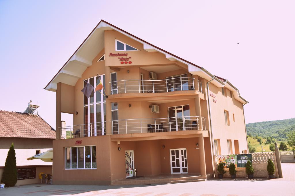Pensiunea Anca Băile Felix Exterior photo